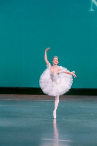 衣装＊ティアラご紹介